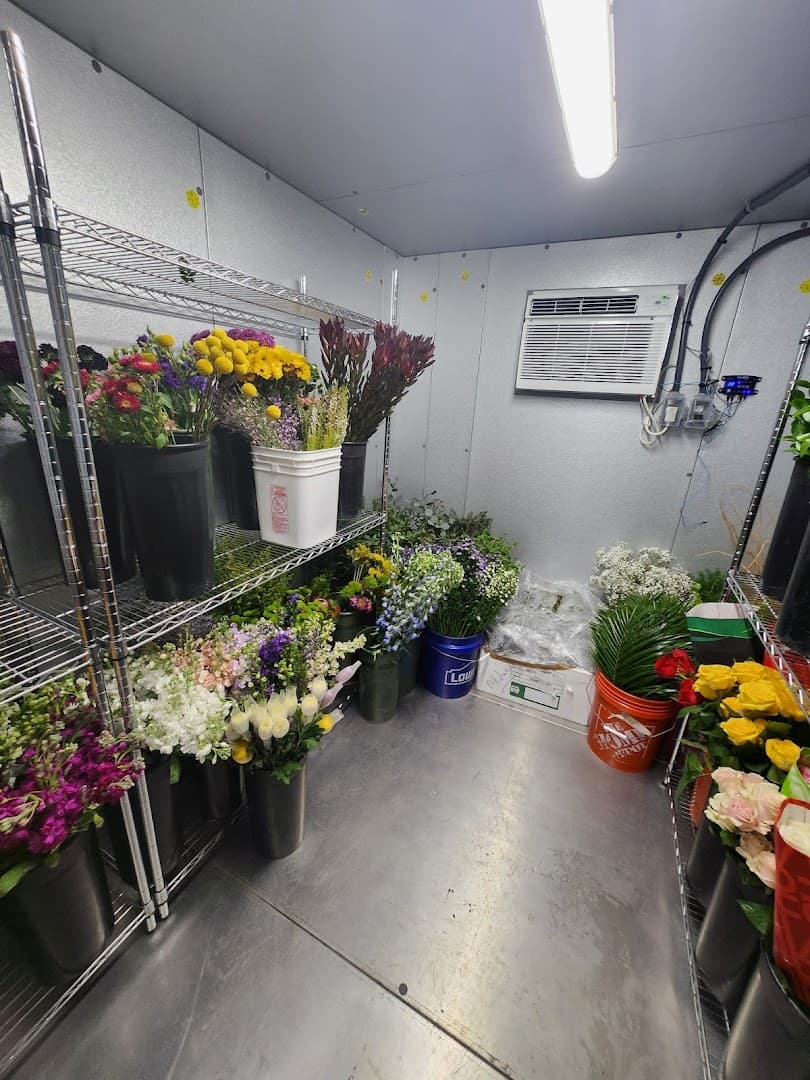 Blossom Florist at HLH & Co., Nursery and Design - Image 1