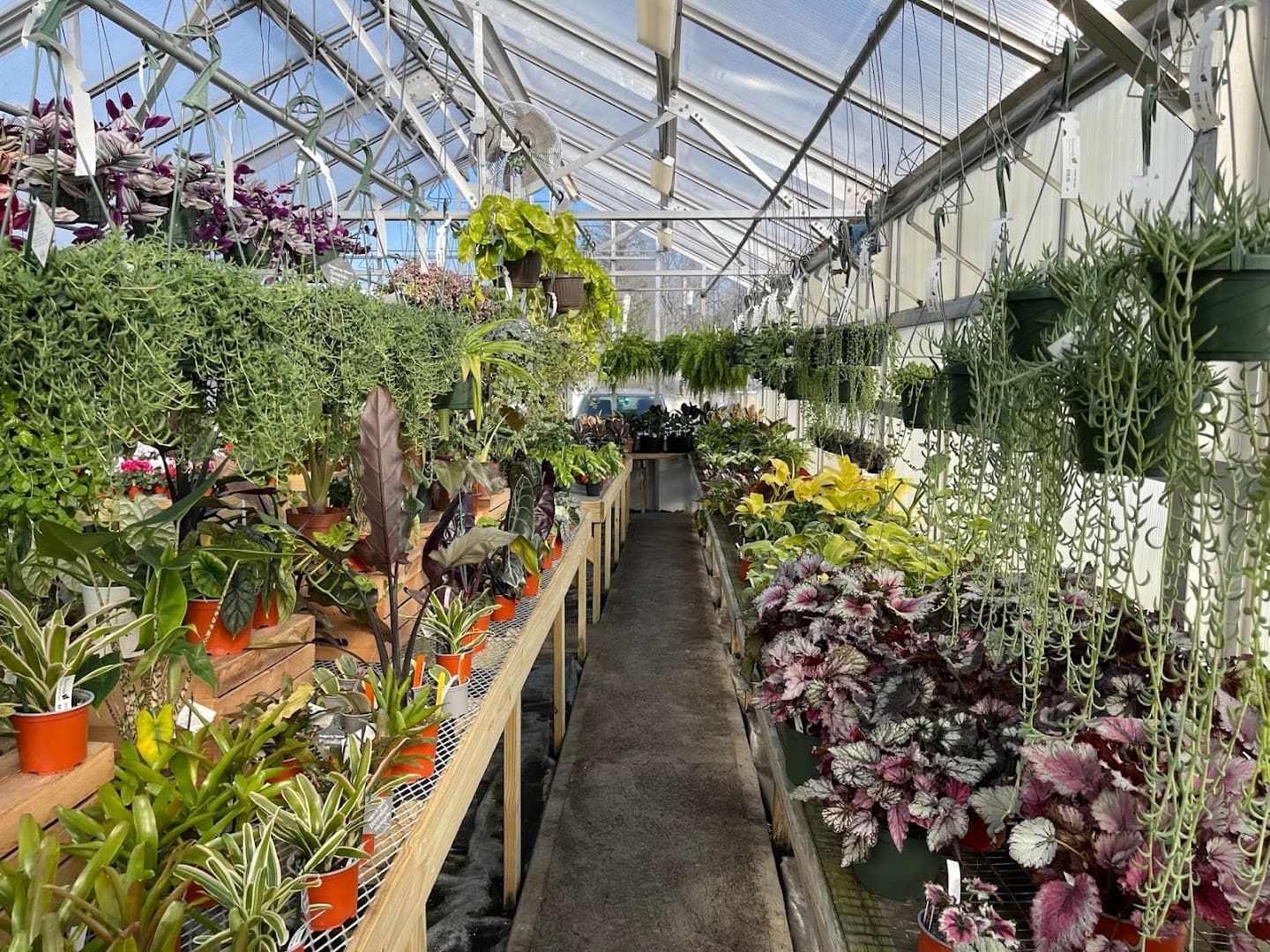 Riverside Greenhouses and Florist - Image 1