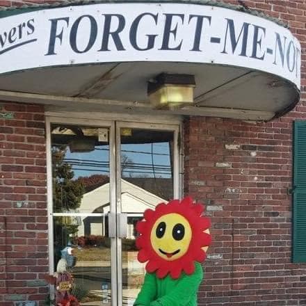 Forget Me Not Flowers & Gifts - Image 1