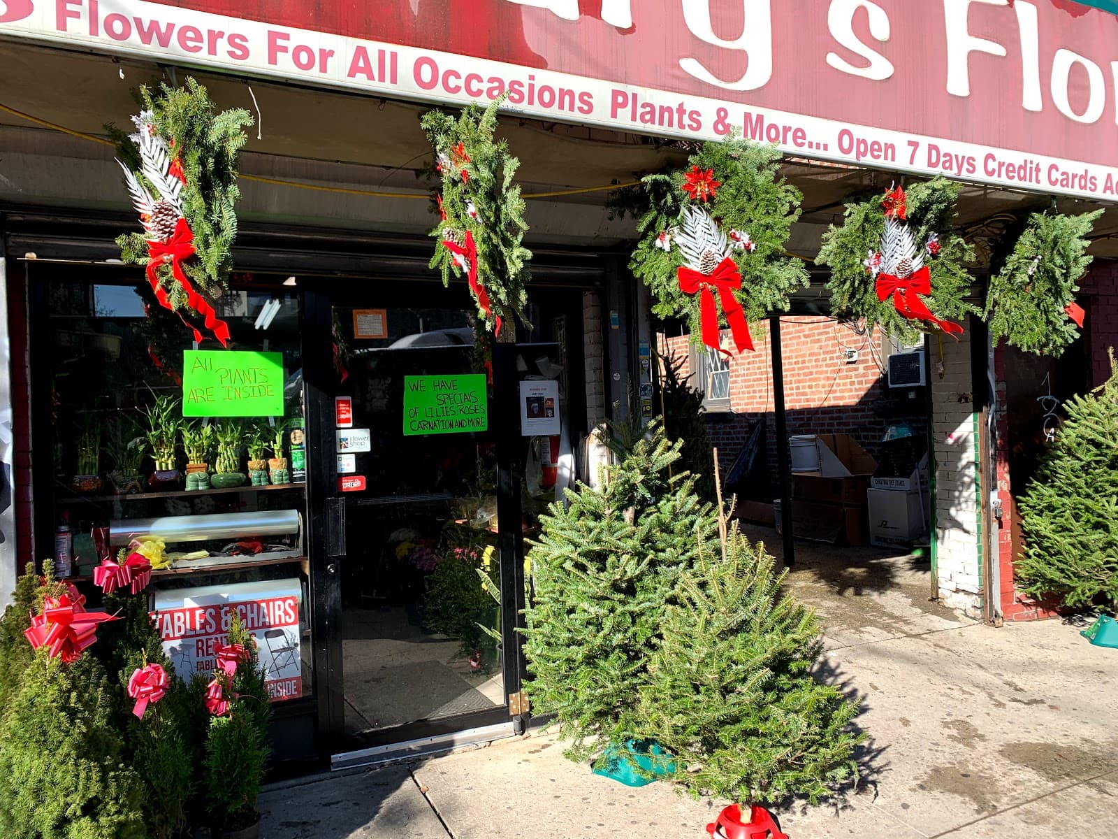 Mary's Florist Corp - Image 1