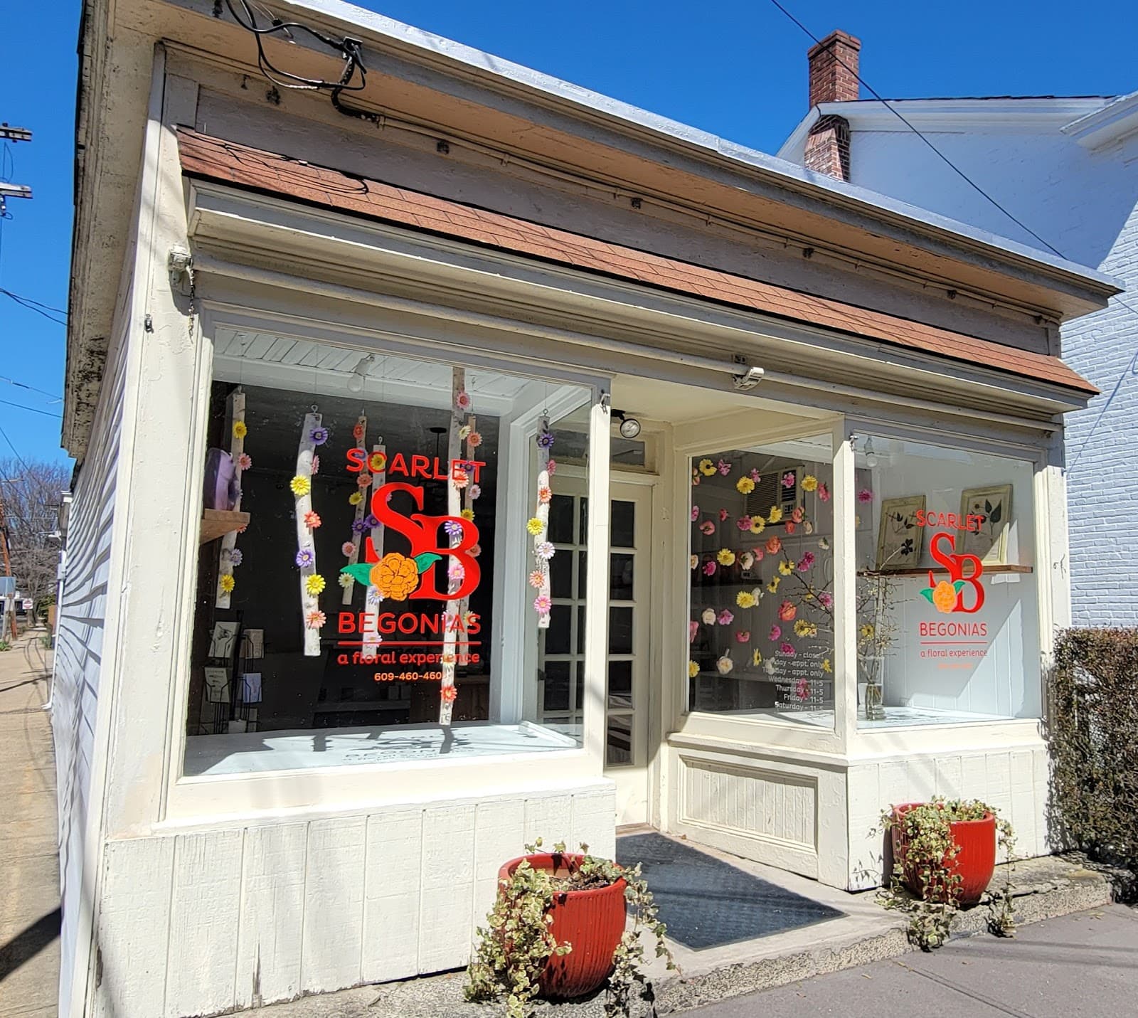 Scarlet Begonias, A Floral Experience - Image 1