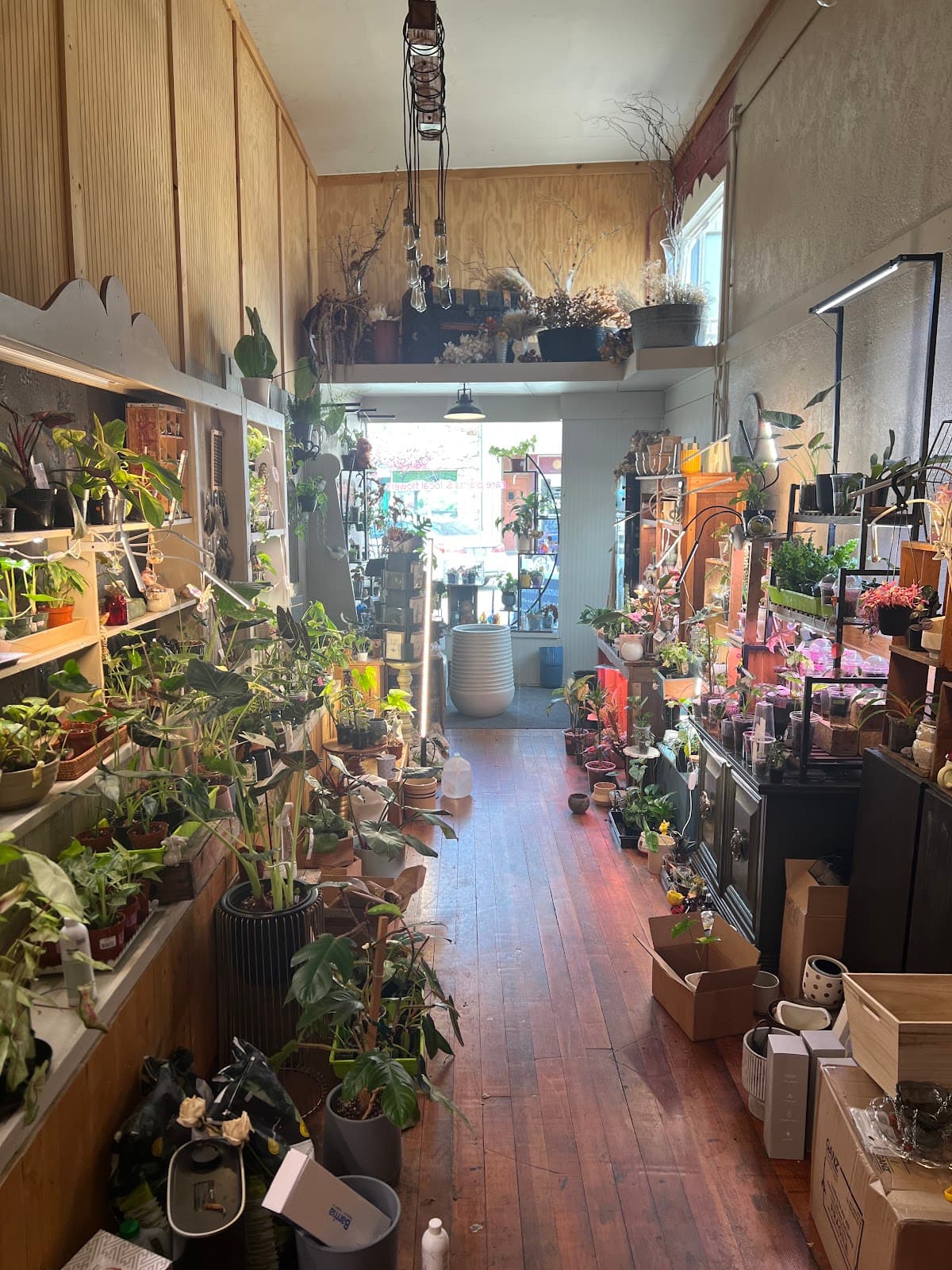 Bonny Blooms Floral - Image 1