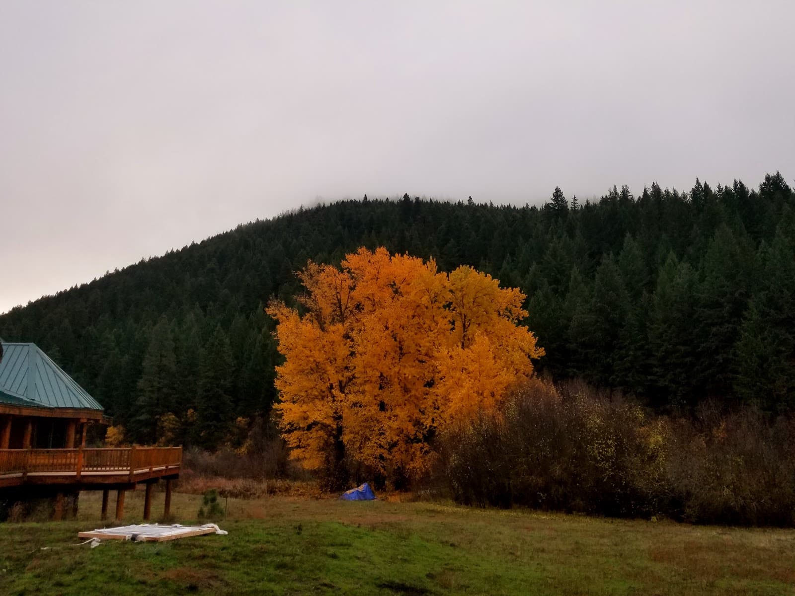 Au Naturel - Image 1