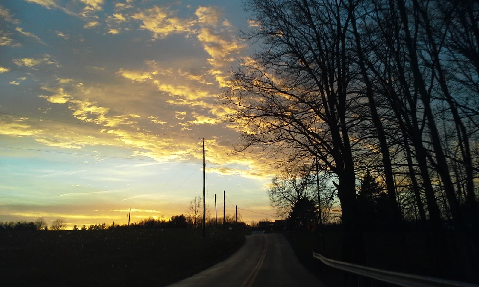 Butterflies And Bouquets - Image 1
