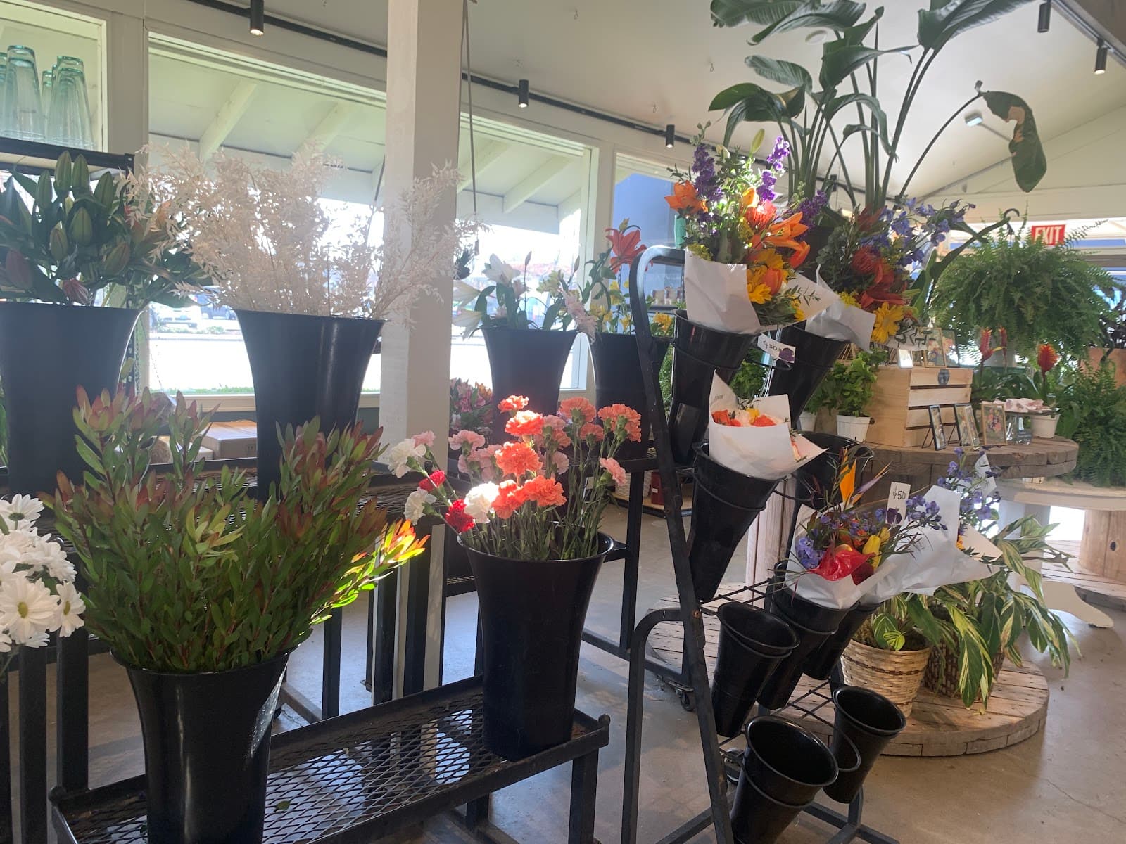 Rhythm and Blooms - Image 1