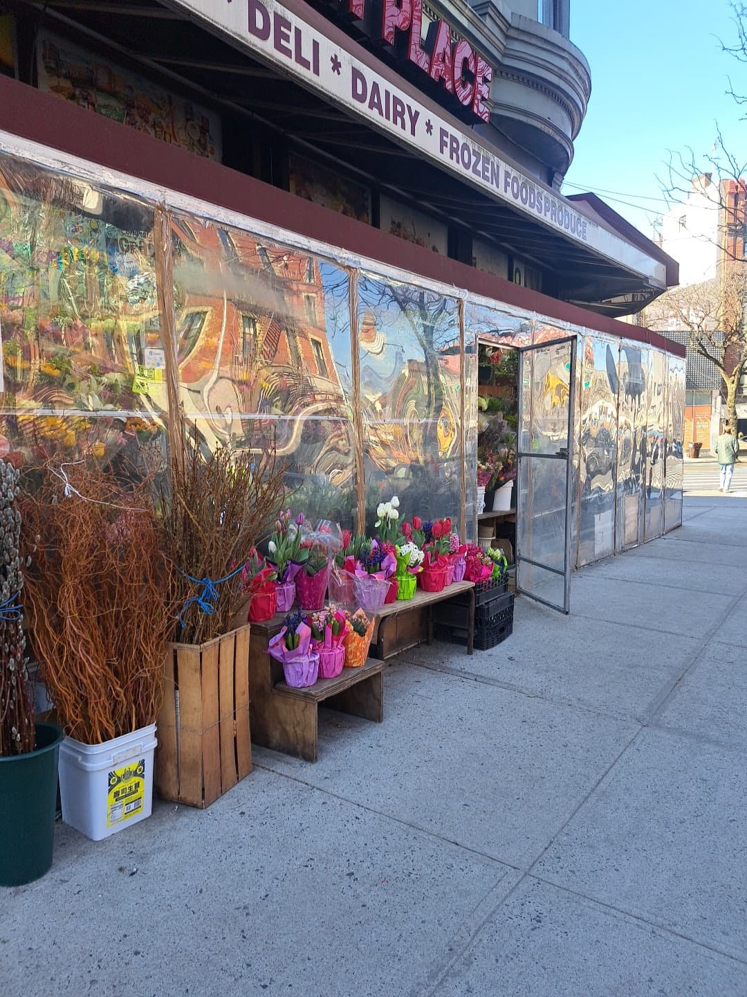 Flowers by Sergio - Image 1