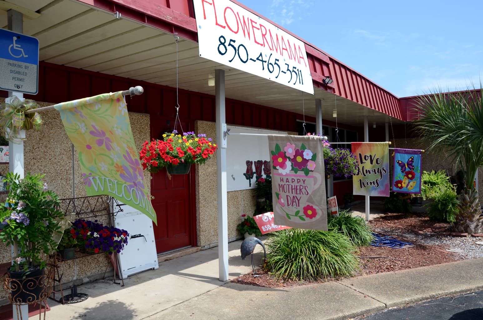 FlowerMama - Image 1