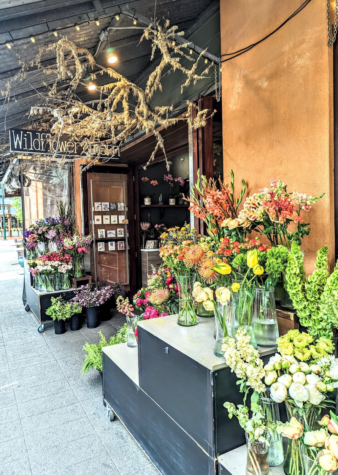 Wildflower & Fern - Image 1