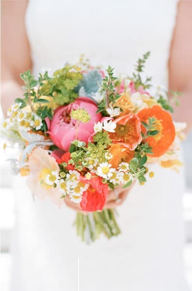 Willow & Vine - Image 1
