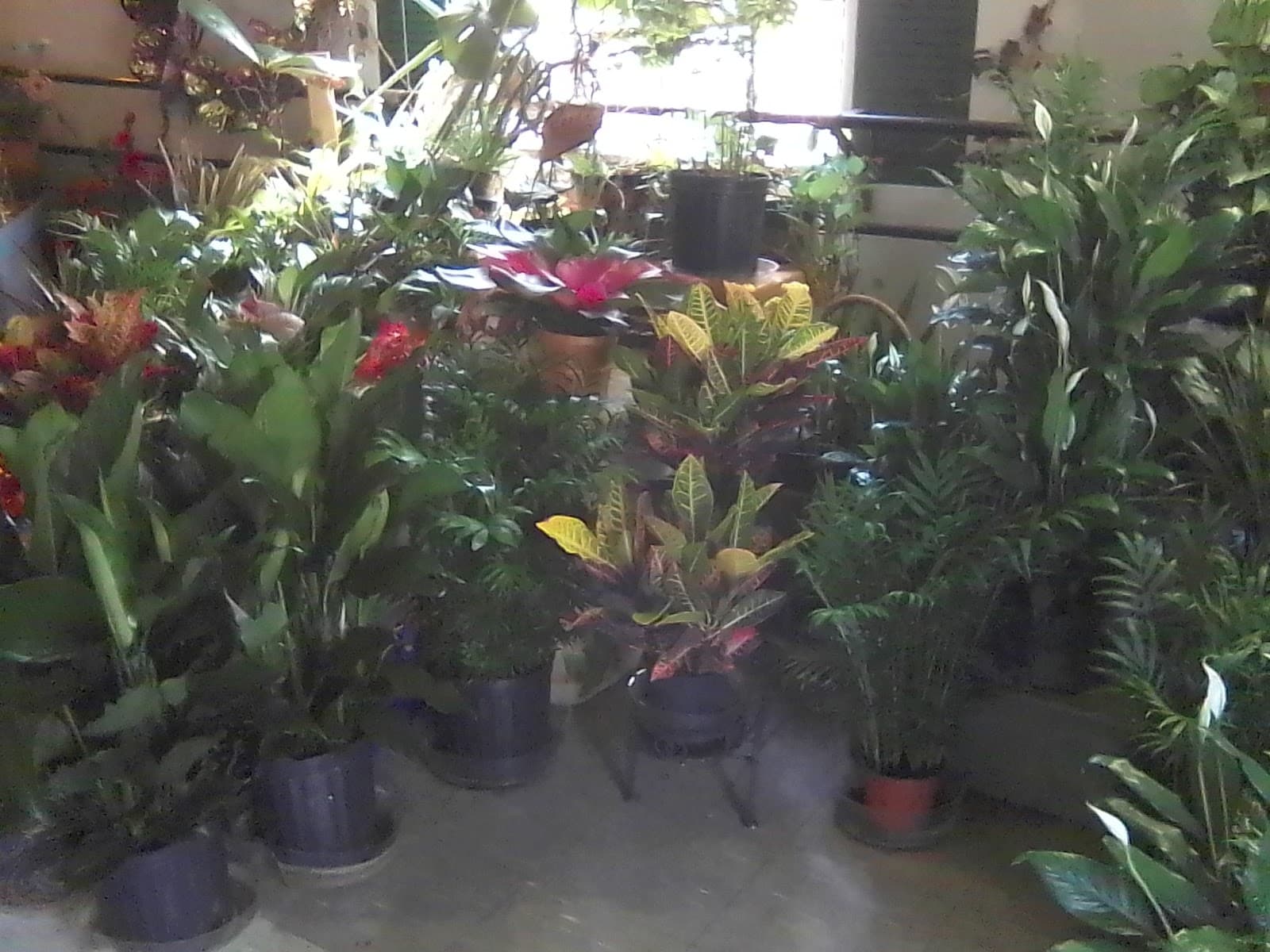 Brantley Flowers & Gifts - Image 1