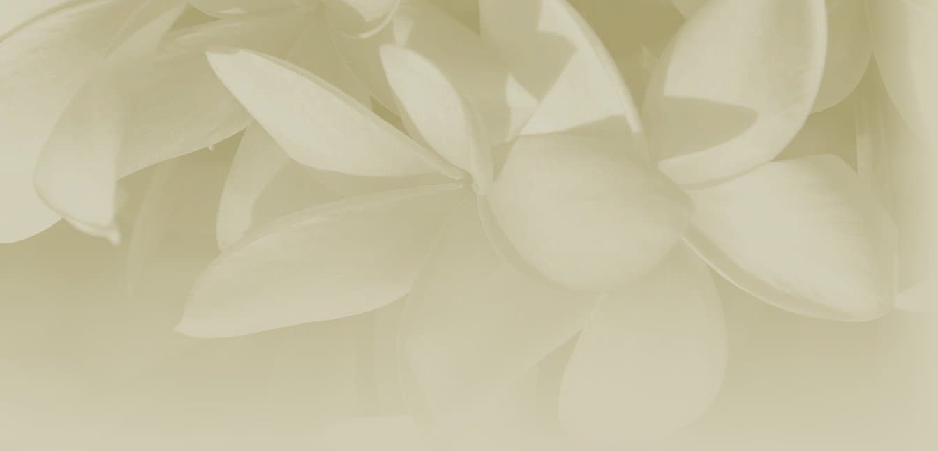 Aloha Island Lei and Floral - Image 1