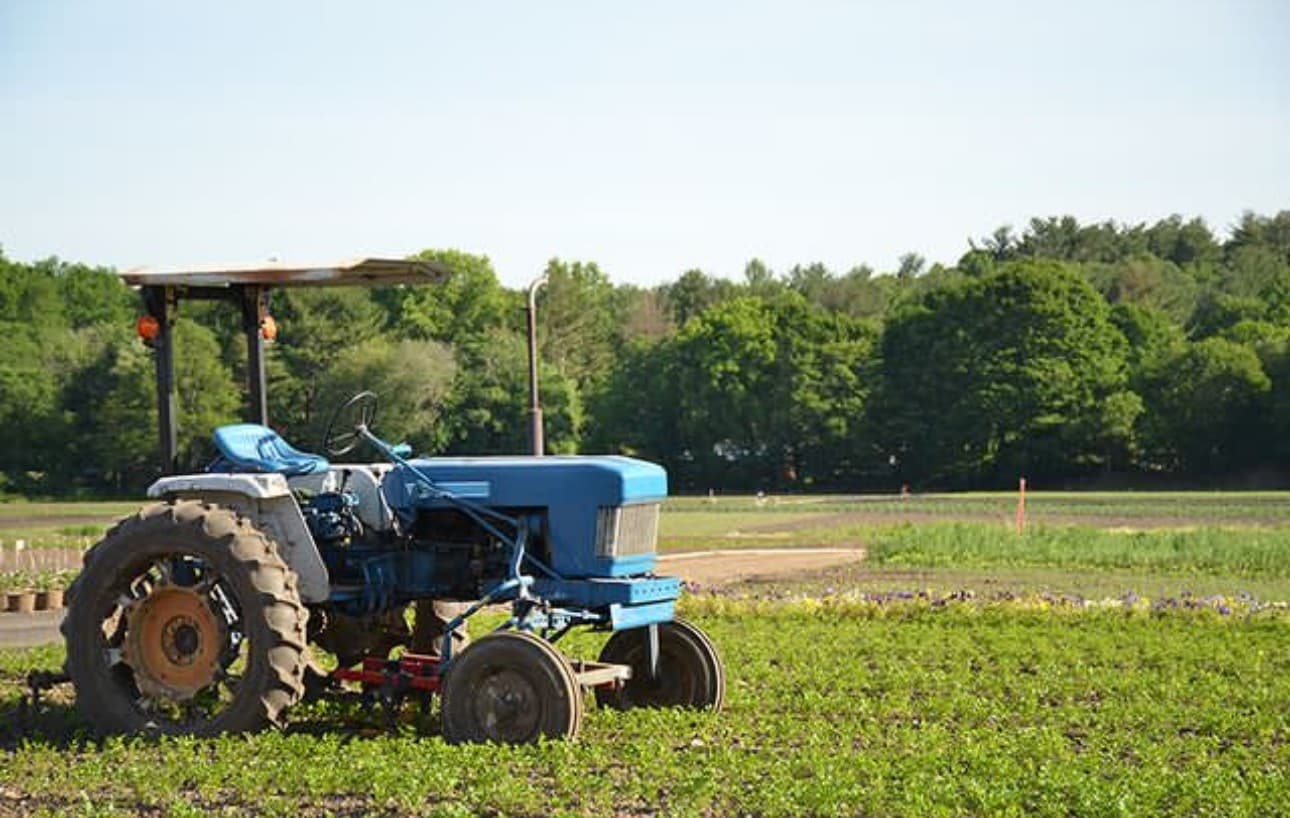 Wilson Farm Inc - Image 1