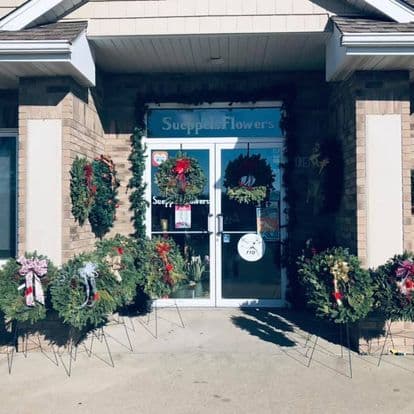 Sueppel's Flowers - Image 1