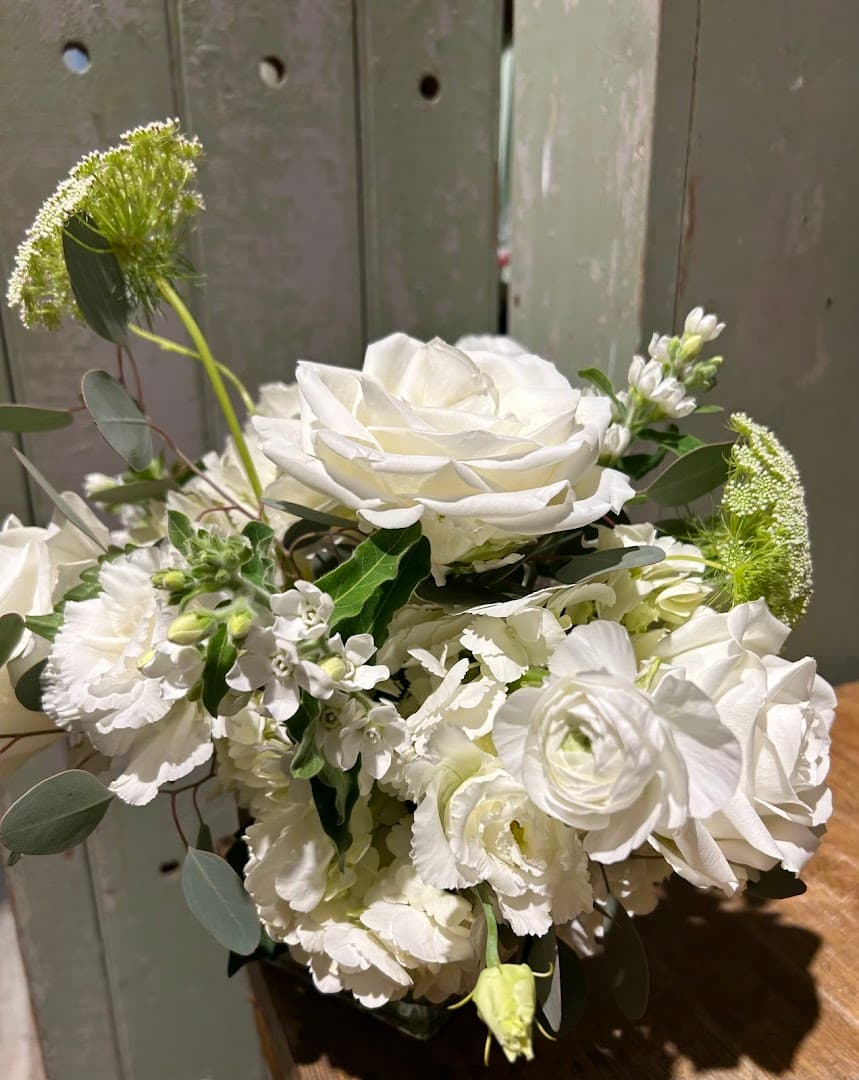 Terracotta Gardens Inc - Image 1