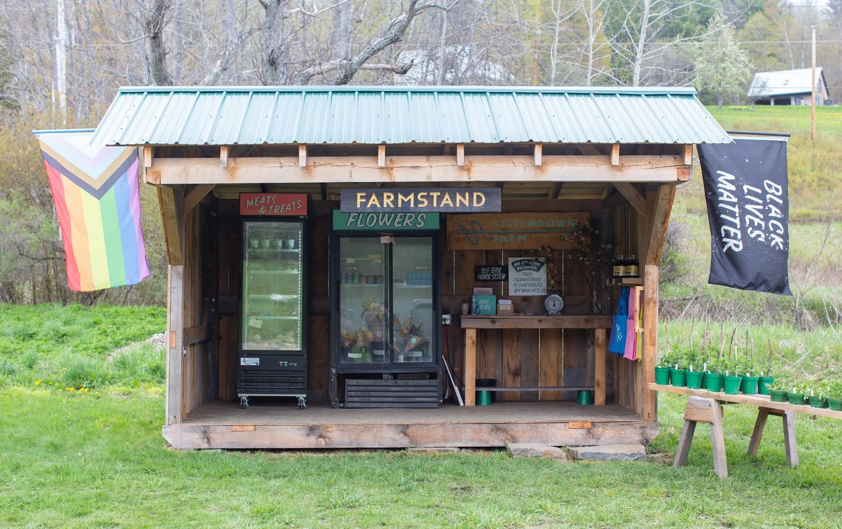 Stitchdown Farm - Image 1