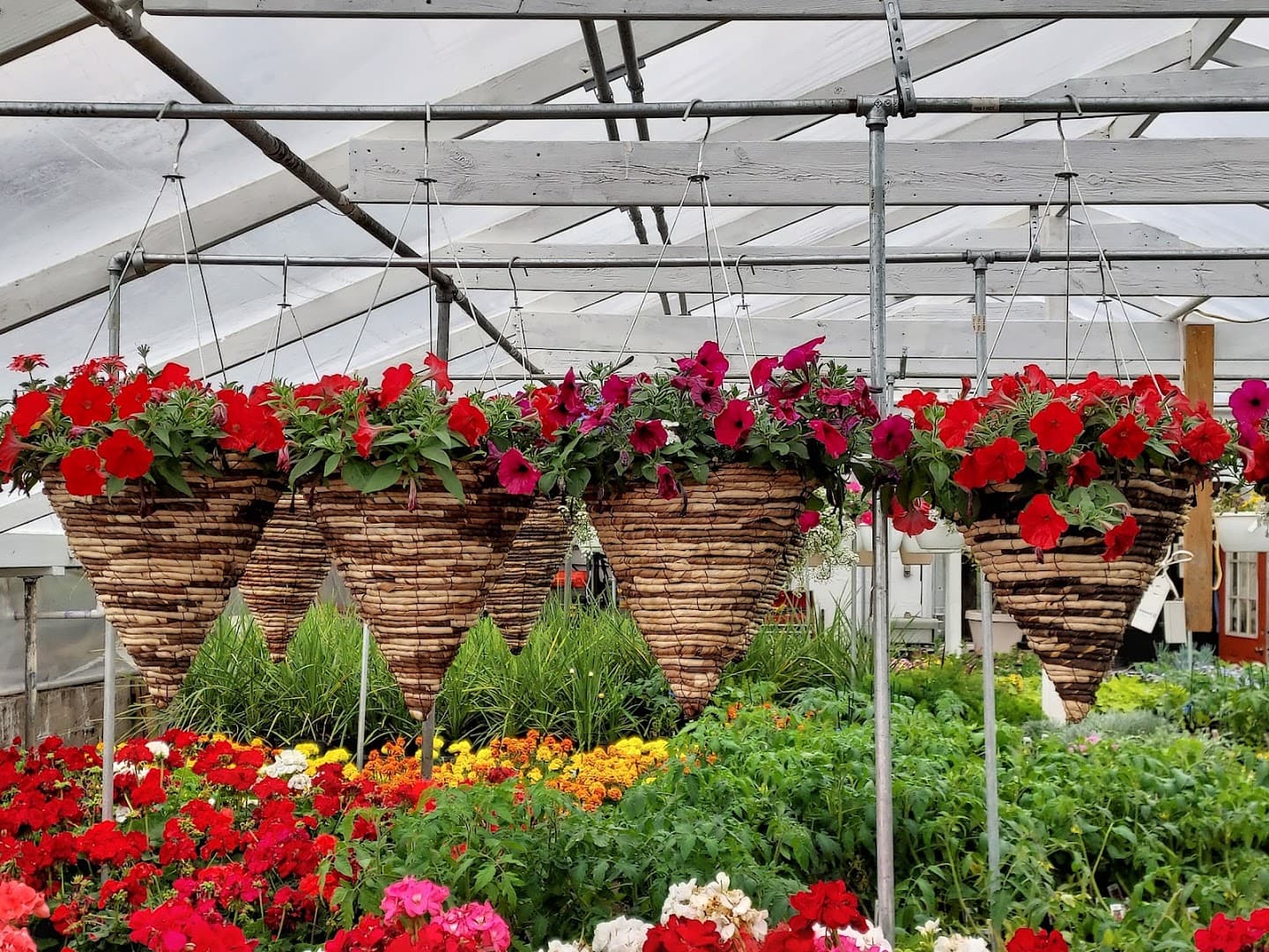 Howe's Greenhouse & Flower Shoppe, LLC - Image 1