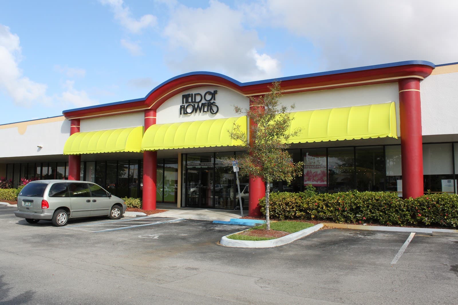 Lush Celebrations - Image 1