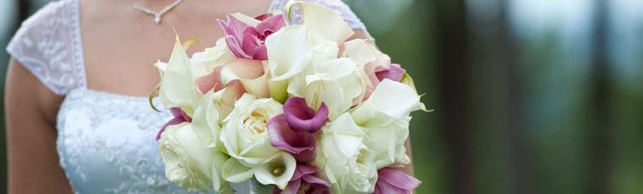 DWF Omaha Wholesale Florist - Image 1