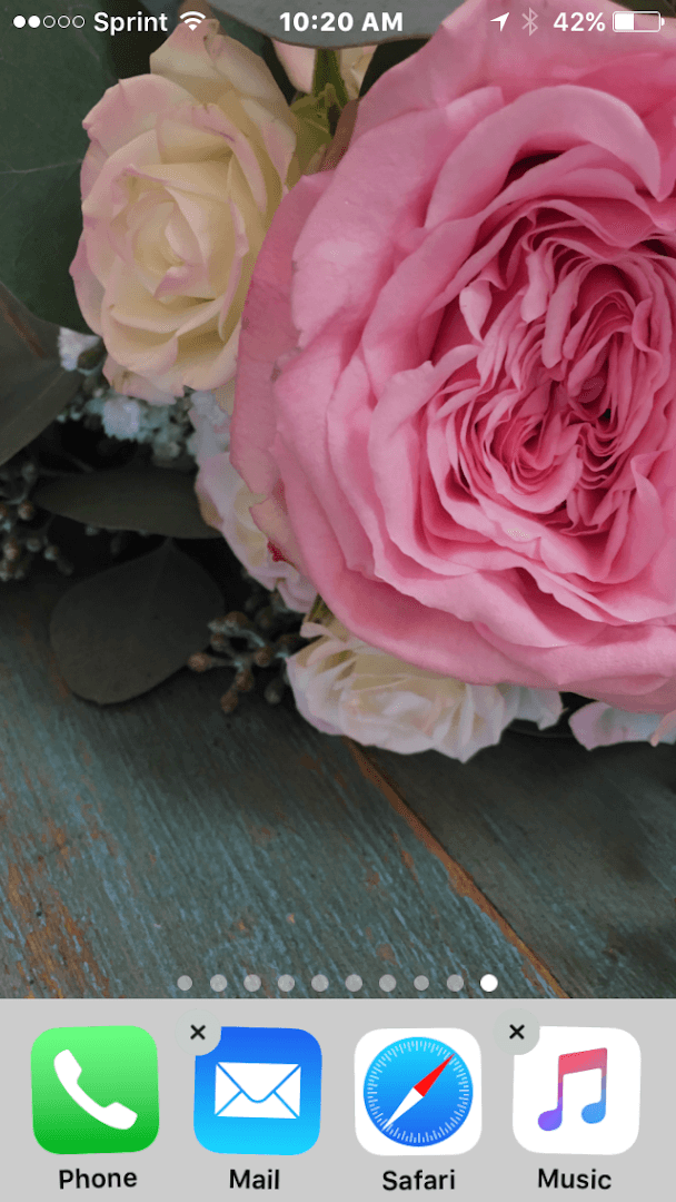 Ann's Flowers Decor & More - Image 1