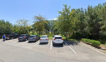 Creative Greenery - Image 1