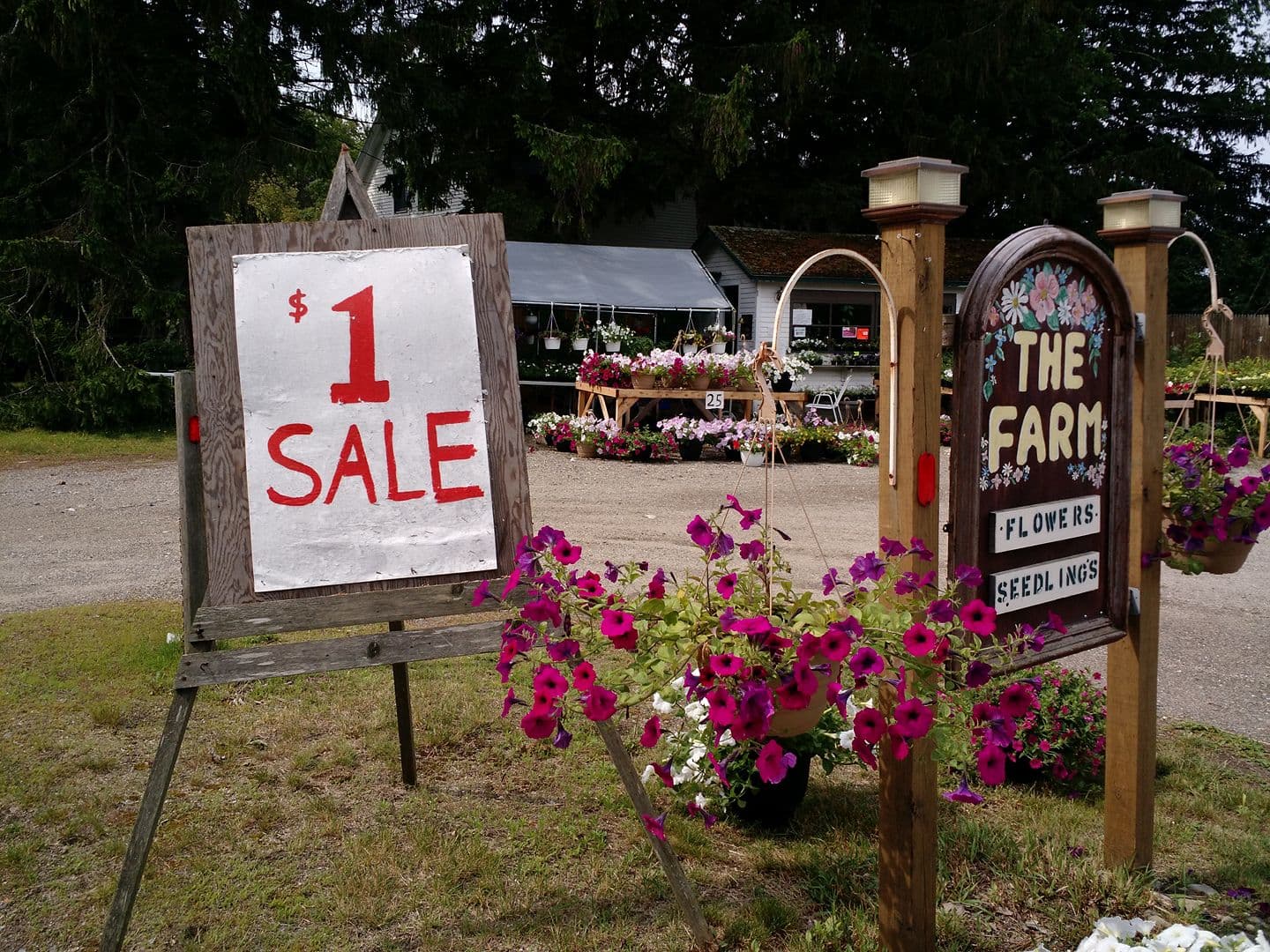 Ocean House Farm - Image 1