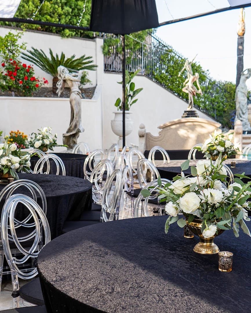 Vine + Dandy - Image 1