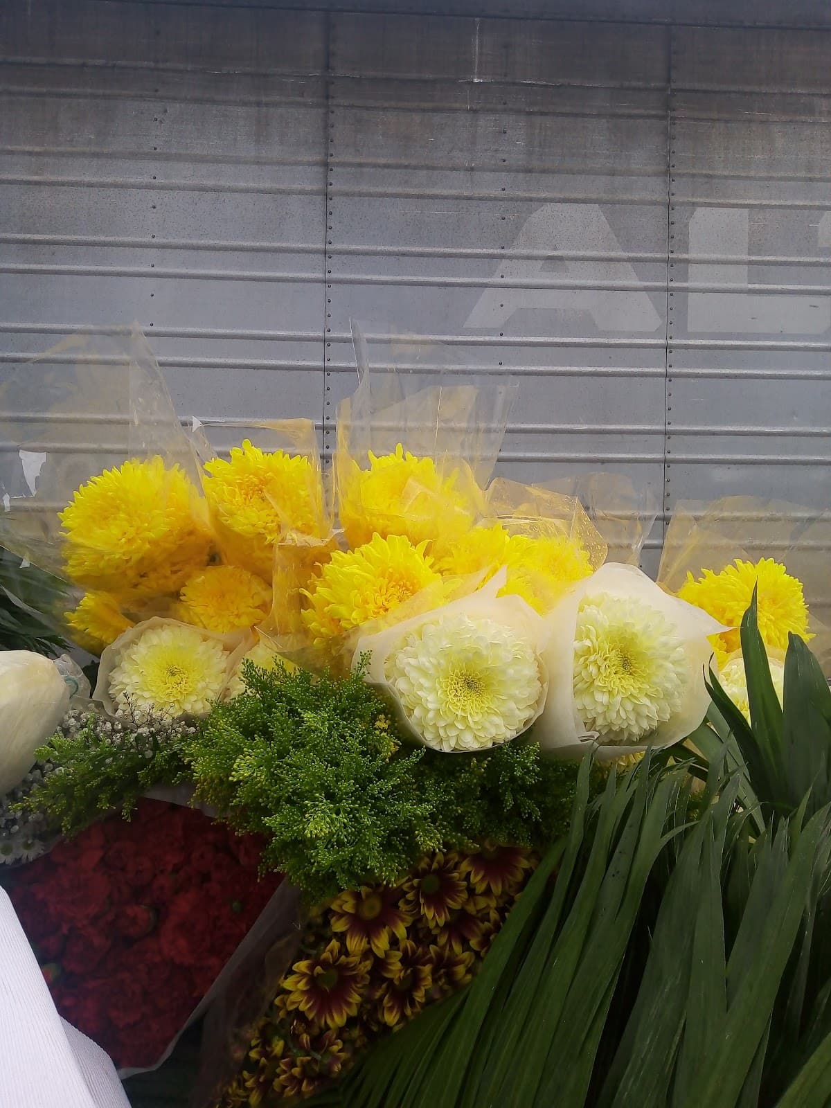 Metcalfe's Wholesale Florist - Image 1