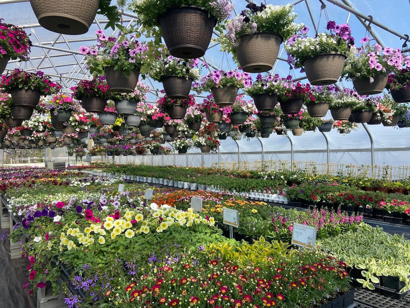 Our Farm Fresh - Greenhouse - Image 1