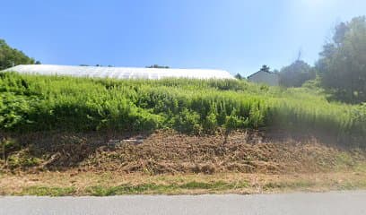 Noreen's Petals and Greens - Image 1