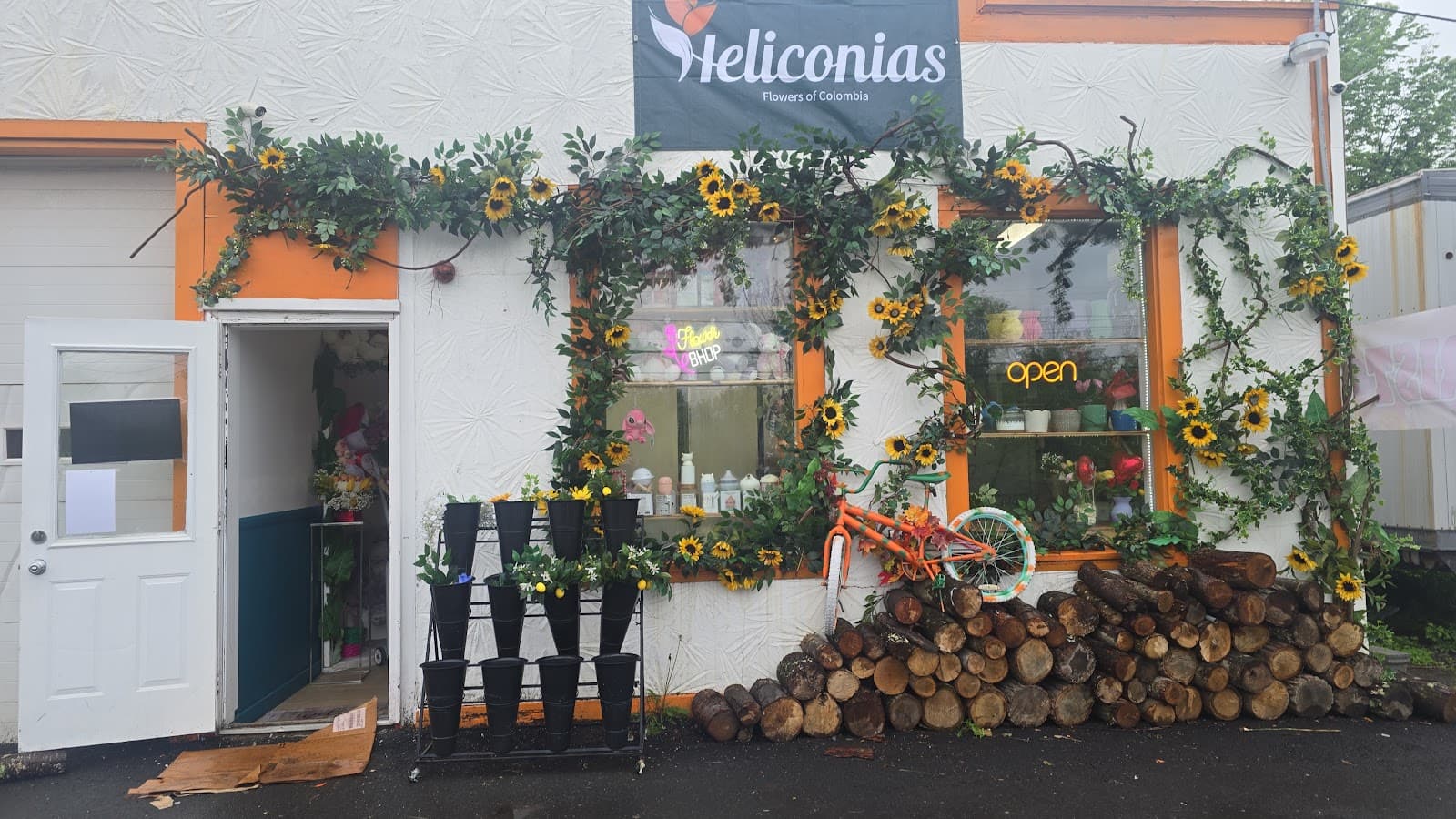 Heliconias Flowers of Colombia - Image 1