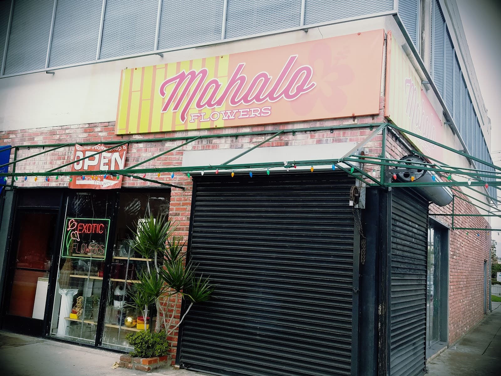 Mahalo Flowers - Image 1