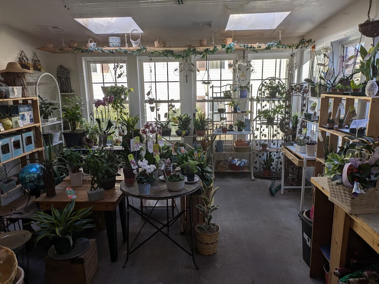 Paul's Flowers - Image 1