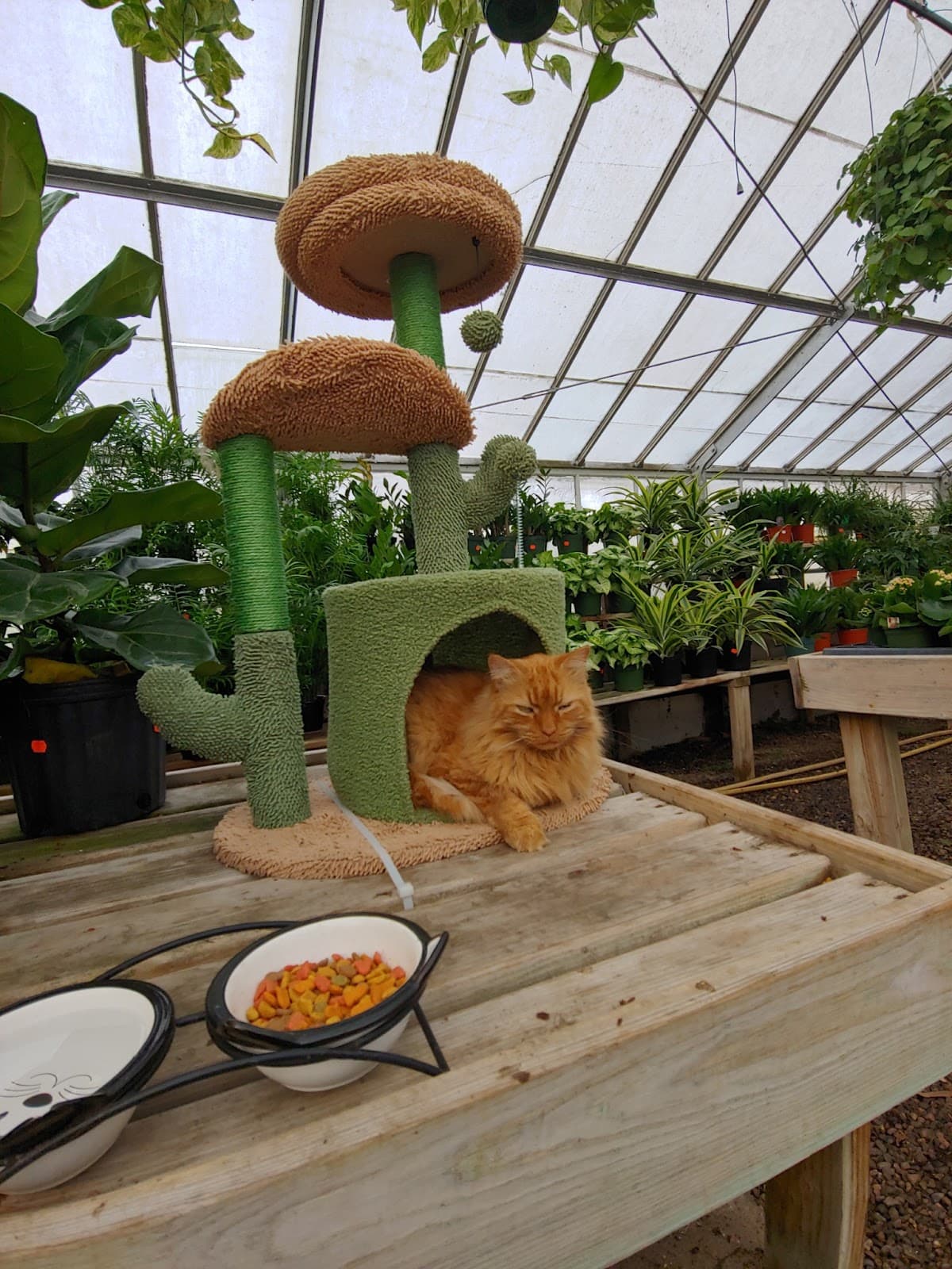 Gordon Florist & Greenhouses, Inc. - Image 1