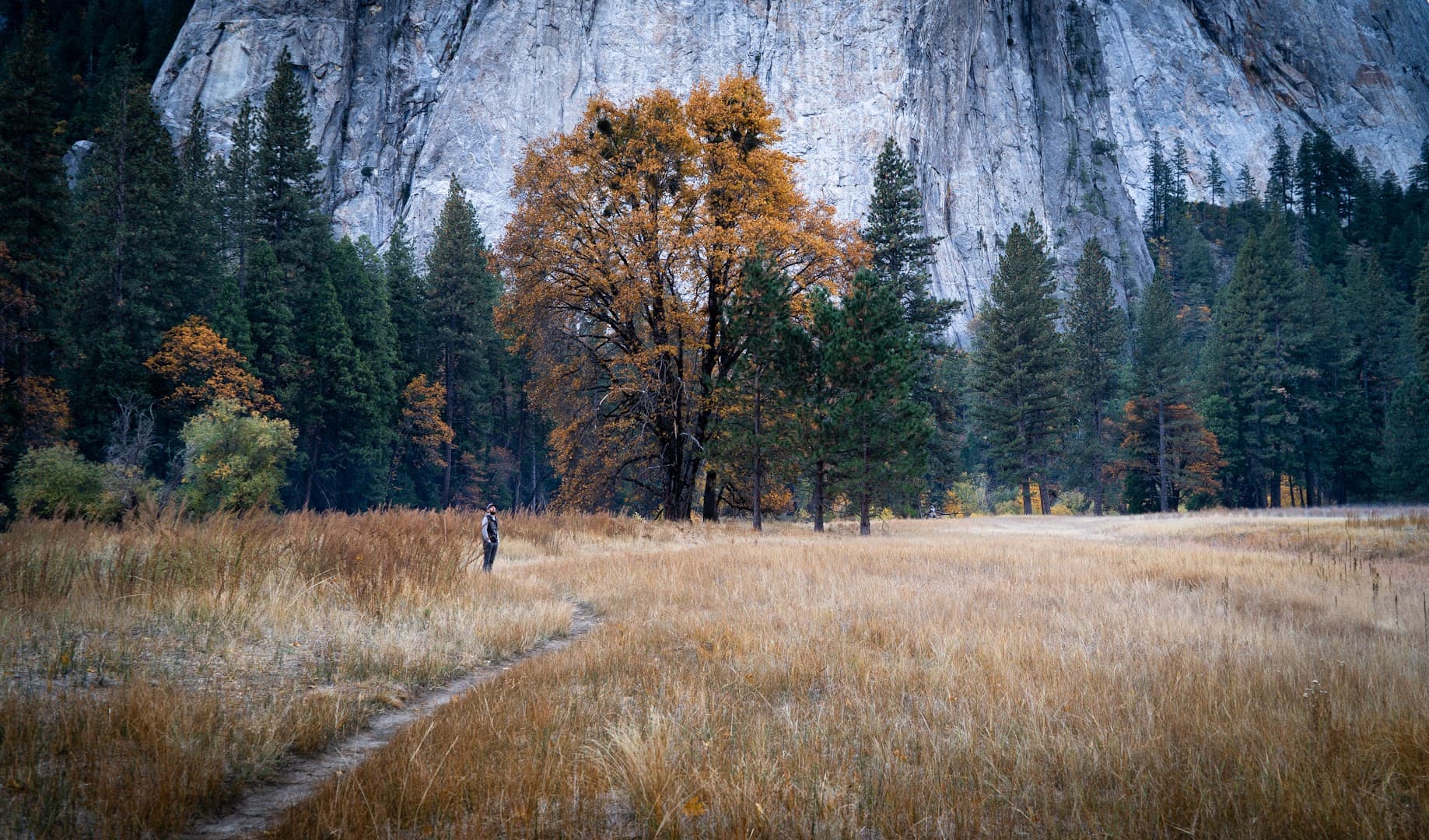 Tribal Nation Flower Company - Image 1