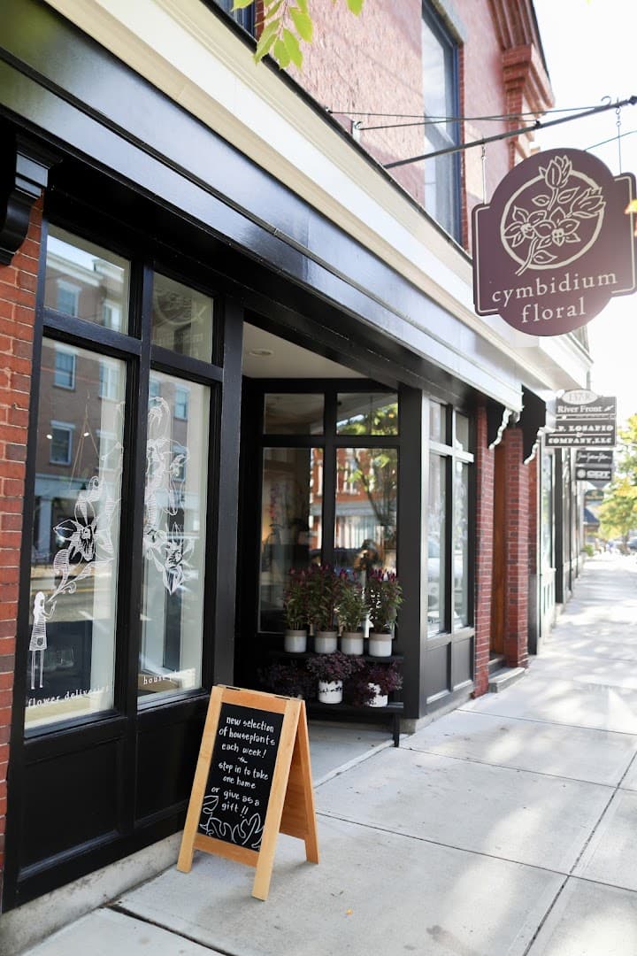 Cymbidium Floral - Image 1