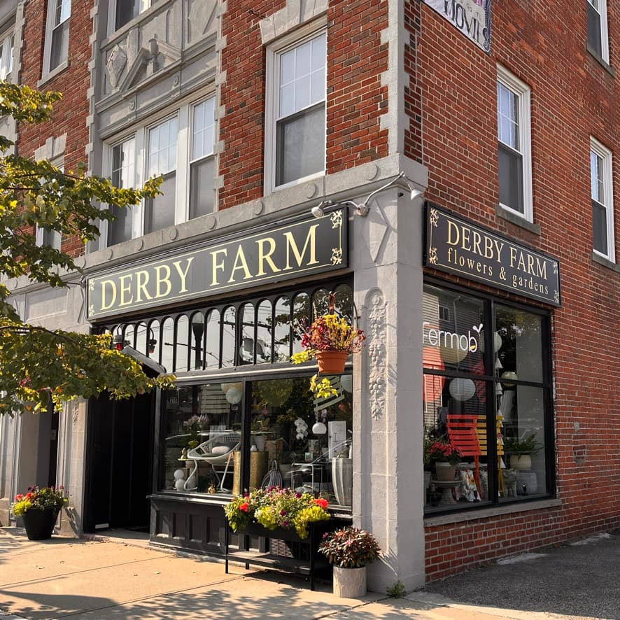 Derby Farm Flowers & Gardens - Image 1