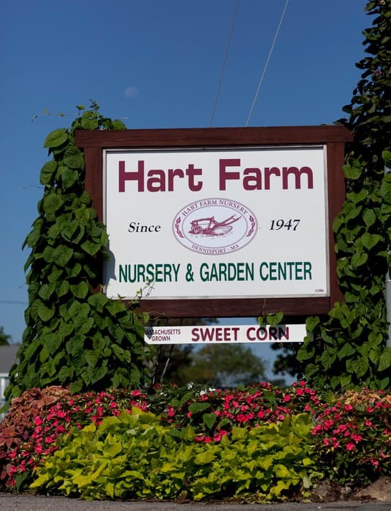 Hart Farm Nursery and Garden Center - Image 1