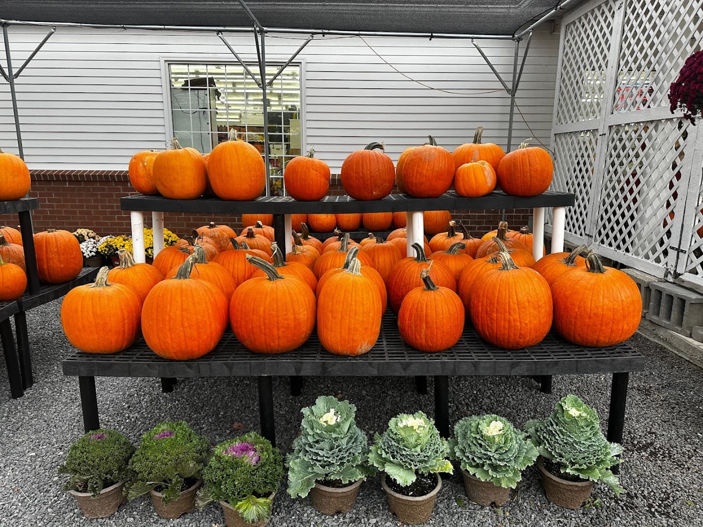 Robinson ACE Hardware & Garden Center - Image 1