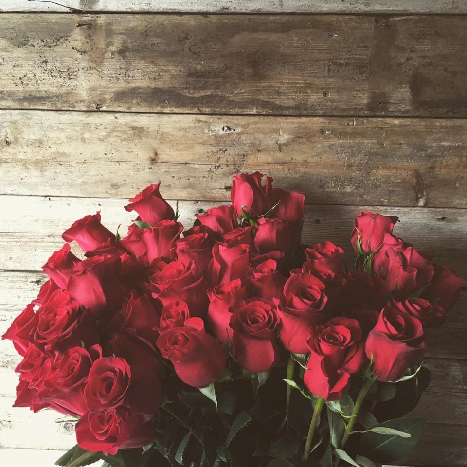 Design n Bloom - Image 1