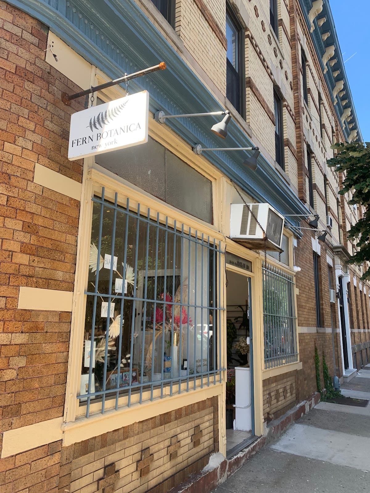 Fern Botanica - Image 1