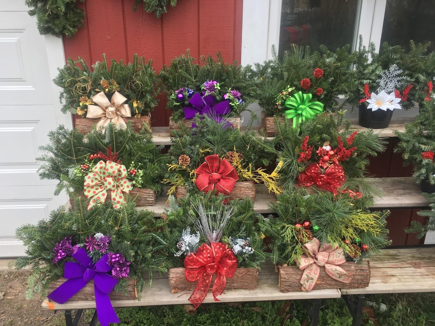 The Flower Farm - Image 1