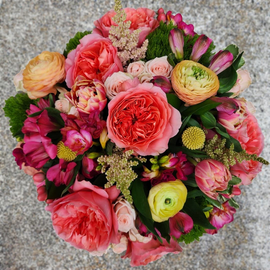 Petal and Thorn - Image 1