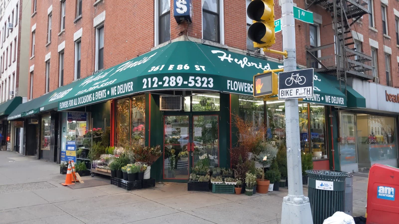 NEW HYBRID FLORIST - Image 1